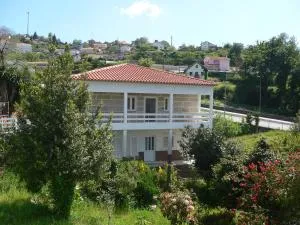 Maria João - Eirado