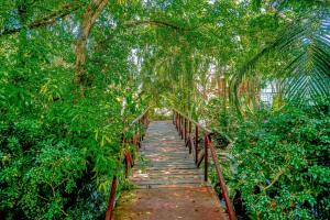 Macaw Oceans Club#20