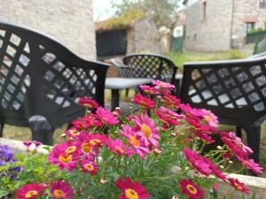 Arena Tu Apartamento en Llanes