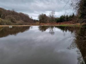 Chalets Cabane pilotis sur etang, au lac de Chaumecon : photos des chambres