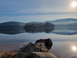 Chalets Cabane pilotis sur etang, au lac de Chaumecon : photos des chambres