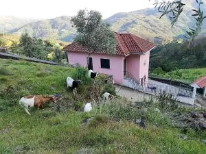 Ecorustics stay - Casa Ester - Ester