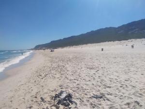 Galia