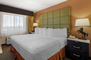 Best Western Plus Country Inn & Suites
