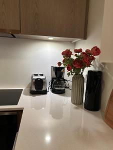 Reykjavikrental