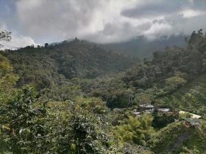 Moira Ecolodge - Cabaña El Porvenir - Cordoba Quindio