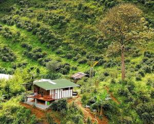 Moira Ecolodge - Cabaña El Porvenir - Cordoba Quindio