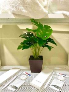 Modern 1-BR Condo Unit