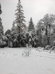 Uncle Grizzs Cabin...get intouch with nature
