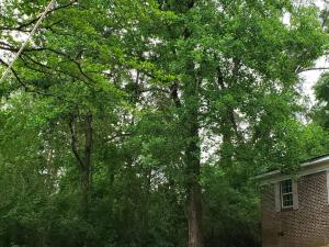 LixyLouis Andalusia minutes from the Downtown