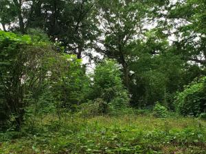 LixyLouis Andalusia minutes from the Downtown