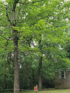 LixyLouis Andalusia minutes from the Downtown