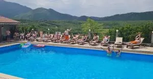 Villa Krnic Olimpic Pool - Šestanovac