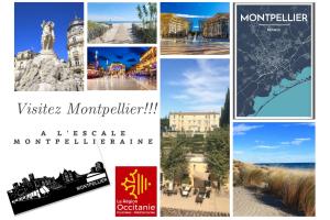 Villas * L'escale Montpellieraine * : photos des chambres