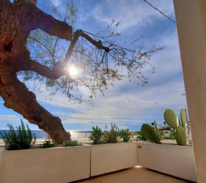 SEA FRONT, Gioia, Santa Maria al Bagno