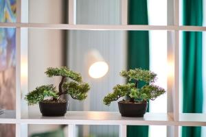 Color Studio 126 - Spa & Pools access