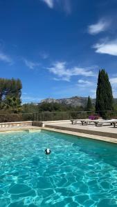 Mon coin de Provence petit-déjeuner offert