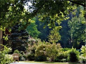 B&B / Chambres d'hotes Chambres entre Romorantin-Chambord-Zoo de Beauval : photos des chambres