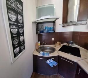 Apartamenty Tomaszów Lubelski - Niebieski