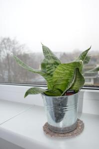 Panoramic Apt in the City center