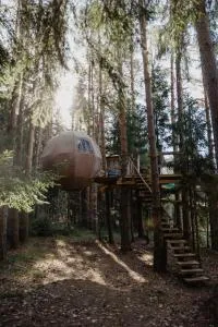 Nature calls - tree tents - Būtingė
