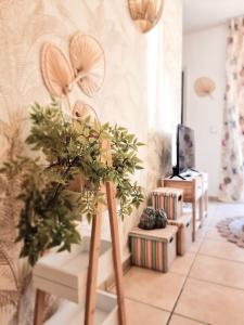 Apartamento Tropical en playa del inglés