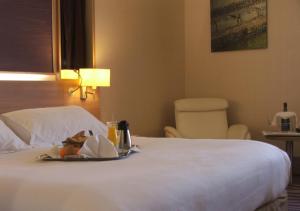 Hotels Plaza Hotel Capitole Toulouse : photos des chambres