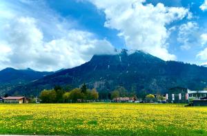 Studio Nebelhorn