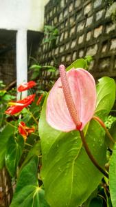 An-tsaha Chambre dhôtes