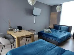 Bed & Wellness Boxtel, 4 persoonskamer met eigen badkamer - Langenberg