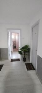 Cazare de Vis 3 stele