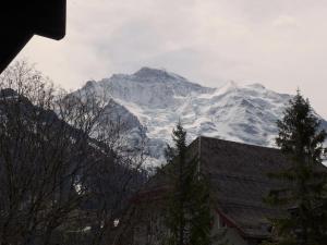 Apartment Im Gruebi Apt-5 by Interhome