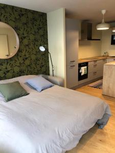 Appartements Superbe studio en centre-ville : photos des chambres