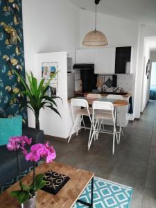 Appartements Les Toucans sous le clocher terrasse - SPA - parking et wifi gratuit : photos des chambres