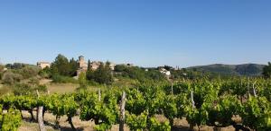 Maisons de vacances Le Mas des Lucioles a Vinezac : photos des chambres