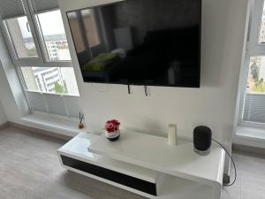 Fabulous Penthouse Lakeview W20