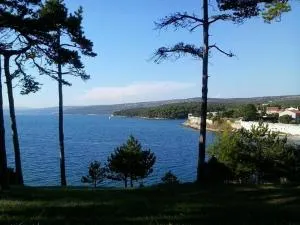 Mobilne kućice Lavanda - Osor