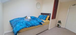 Move inn Estates - Multiple Rooms