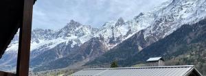 Appartements Bright apt facing the Mont Blanc chain : photos des chambres