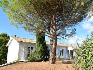 L Arbre Vert - Piscine - Jardin - Arrivée Autonome