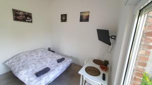 Appartements Ideal deplacement pro Roubaix 10 : photos des chambres