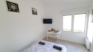 Appartements Ideal deplacement pro Roubaix 10 : photos des chambres