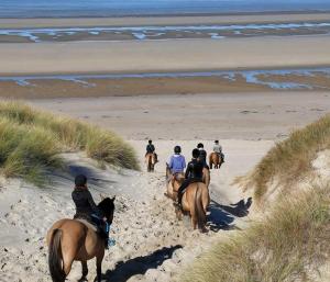 Campings Camping la dune blanche : photos des chambres