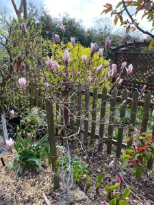 POKOJE GOŚCINNE RENATA KNITTER