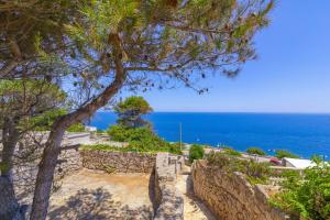 Villa Zinzulusa - Rive del Salento