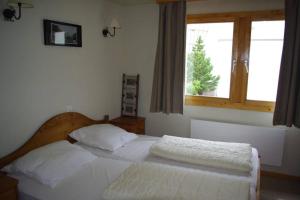 Forum L au centre de Zinal