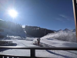 Appartements La joue du loup, T3 acces direct aux pistes. : photos des chambres