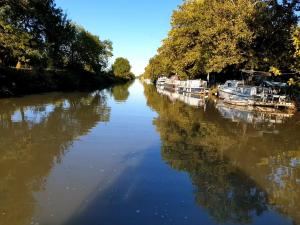 Appartements Sejour sur un bateau sur le canal du midi : photos des chambres