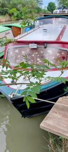 Appartements Sejour sur un bateau sur le canal du midi : photos des chambres