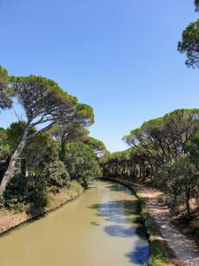 Appartements Sejour sur un bateau sur le canal du midi : photos des chambres